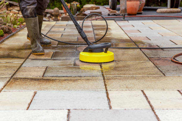 Best Dumpster Area Cleaning  in Franklin, NJ